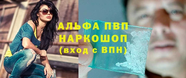 ПСИЛОЦИБИНОВЫЕ ГРИБЫ Абаза