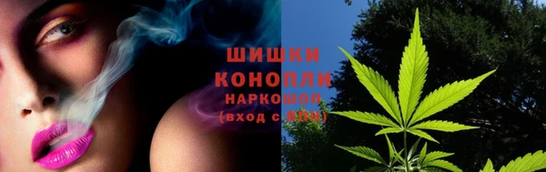 ПСИЛОЦИБИНОВЫЕ ГРИБЫ Абаза