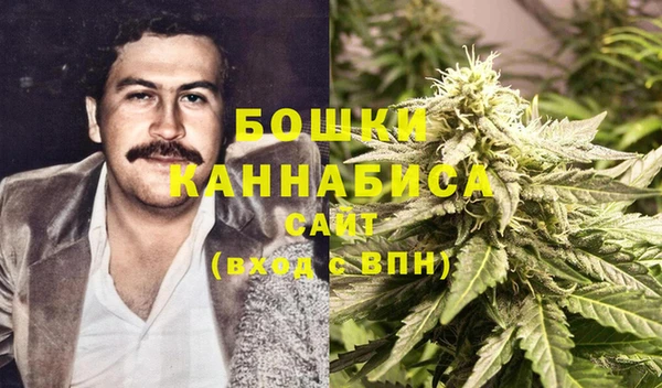 ПСИЛОЦИБИНОВЫЕ ГРИБЫ Абаза