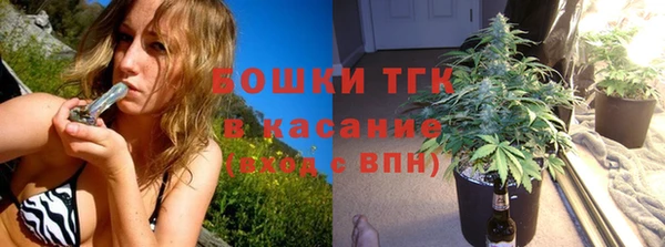 ПСИЛОЦИБИНОВЫЕ ГРИБЫ Абаза